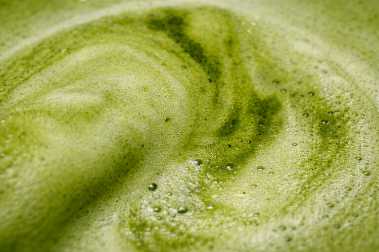 Does Matcha Cause Hair Loss?